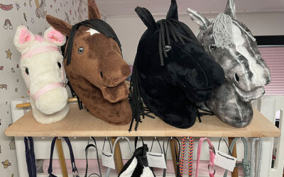 DIY-Hobbyhorse-Stall