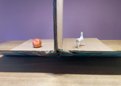 Glaubst du’s? Partyspiel zum Raten und Bluffen mit Objekten