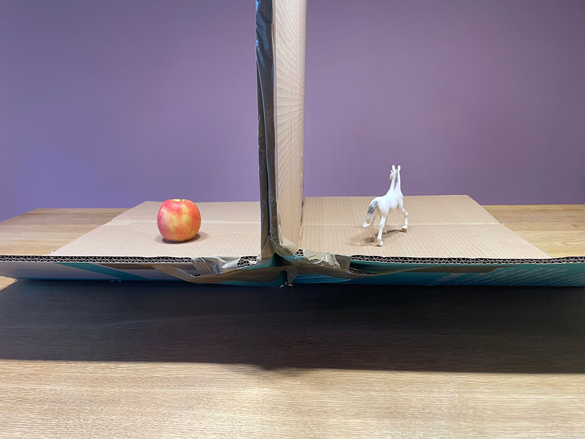 Glaubst du’s? Partyspiel zum Raten und Bluffen mit Objekten