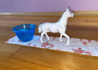 Klopapierrallye: kreatives Partyspiel mit Klopapierrollen und Geschicklichkeit