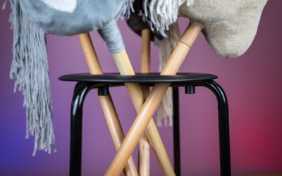 Mobiler Hobby-Horse-Stall